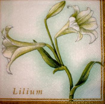 001 Lilies